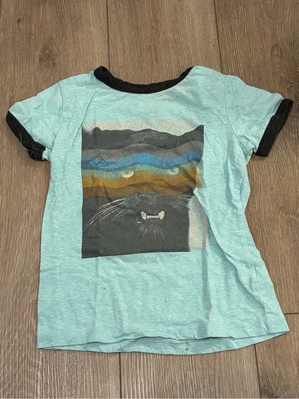 art class Light Aqua Tee with Black Trim and Mountain Graphic